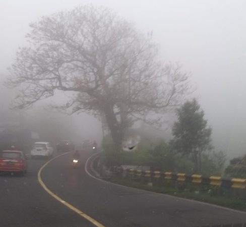 Kabut Tebal Selimuti Puncak Bogor, Pengendara Diminta Nyalakan Lampu Hazard