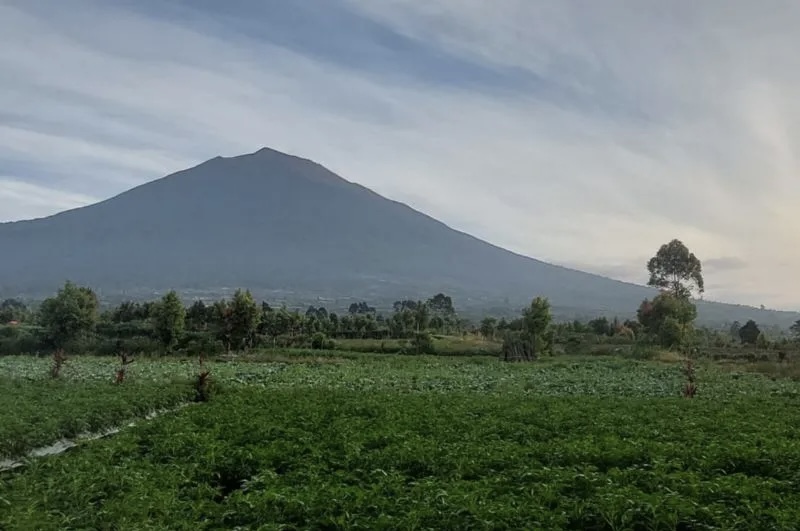 Pembatasan Pendakian Gunung Kerinci Pasca Erupsi Marapi