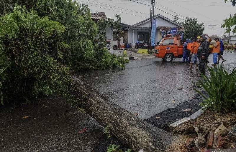 Peringatan Dini BMKG: Enam Wilayah Banten Waspadai Cuaca Ekstrem