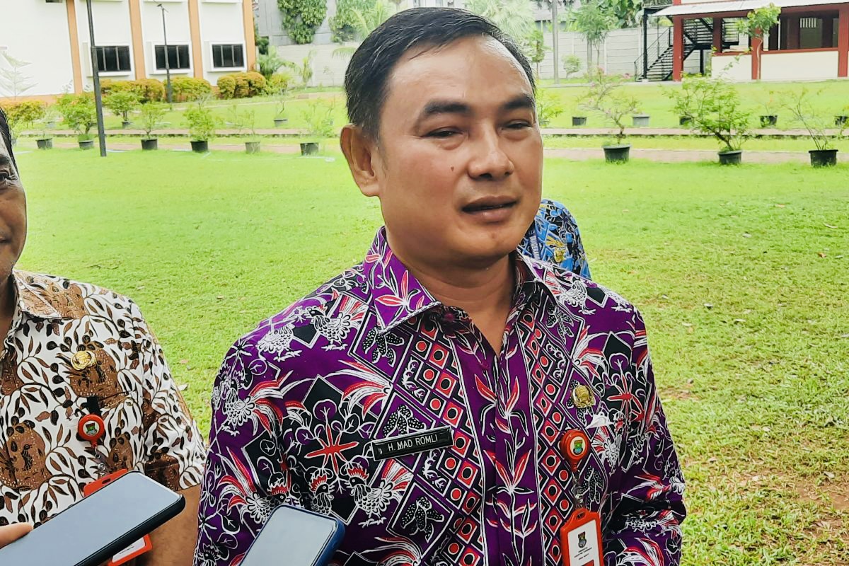 Mad Romli Akan Tentukan Siapa Calon Wakil Bupati Tangerang