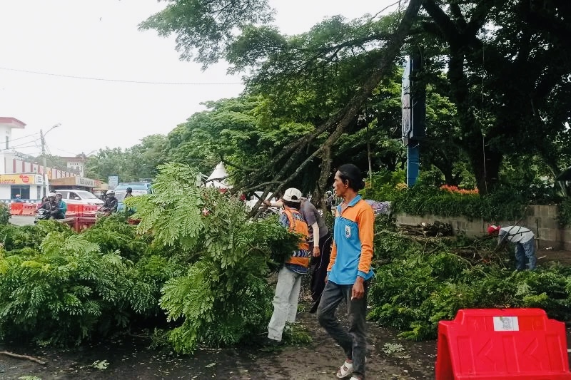 Potensi Hujan Lebat dan Angin Kencang Ancam 5 Daerah di Banten