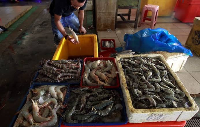 Produksi Udang Nasional Melejit, Menteri Kelautan Targetkan Capai 2 Juta Ton di 2024