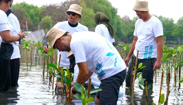 Acer Indonesia Lakukan Penanaman Ribuan Mangrove, Lanjutkan Komitmen Masa Depan