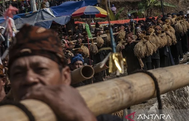 Produksi Beras di Kabupaten Lebak Tembus 320.621 Ton, Surplus 189.503 Ton