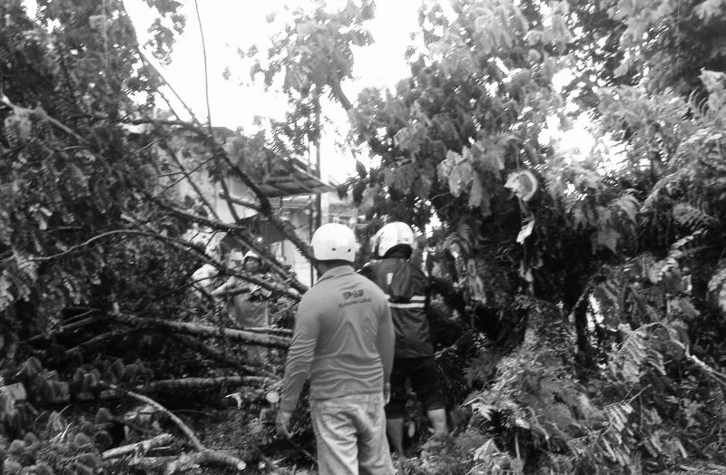 BMKG Sampaikan Peringatan Angin Kencang dan Gelombang Tinggi di Banten