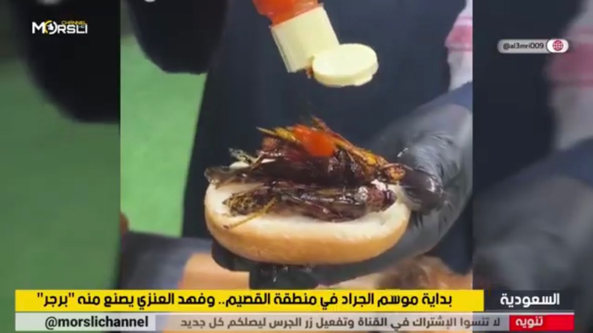 Burger Belalang: Kuliner Populer dengan Sentuhan Inovatif di Arab Saudi