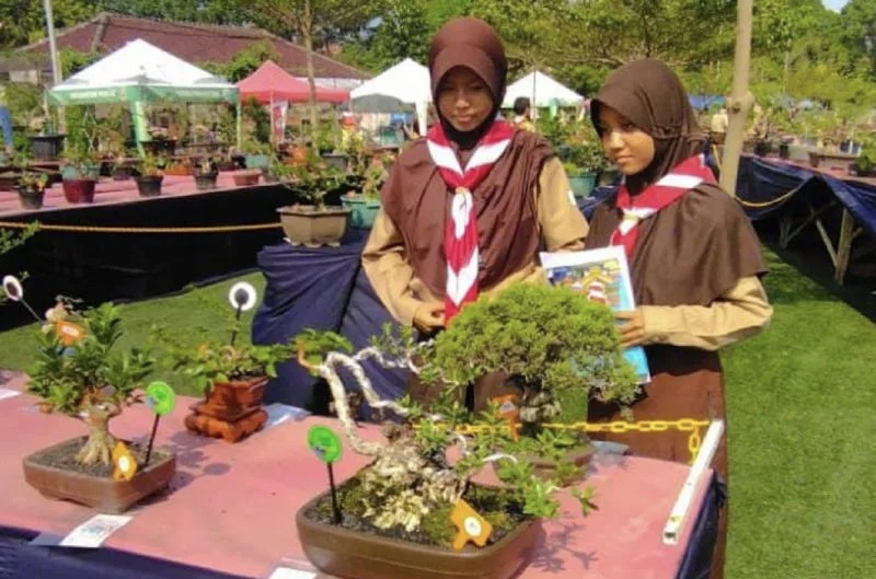 Dinas Ketahanan Pangan Kota Tangerang Sosialisasi Cara Rawat Bonsai kepada Ratusan Pelajar