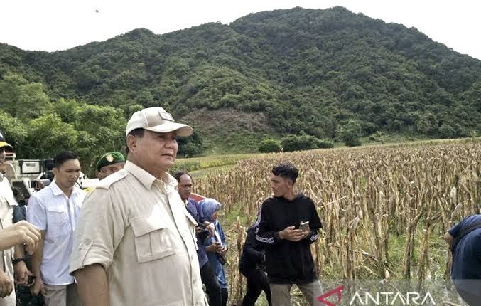 Prabowo Komitmen Tekan Impor dan Dorong Energi Baru untuk Wujudkan Swasembada Energi