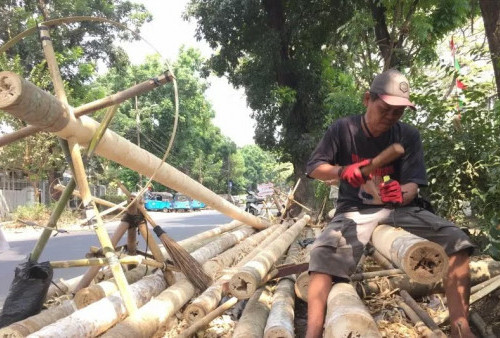 Kisah Pilu Pedagang Pohon Pinang di Jakarta: Sepi Peminat Jelang HUT Ke-78 RI