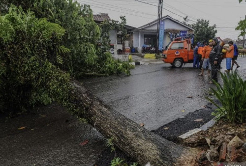 Prakiraan Cuaca BMKG: Banten Berpotensi Cerah Berawan, Waspada Tiupan Angin Kencang