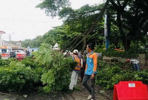 Potensi Hujan Lebat dan Angin Kencang Ancam 5 Daerah di Banten