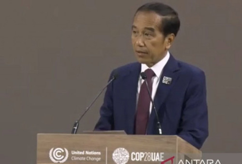 Jokowi di COP28: Tidak Ada Solusi Universal untuk Ketahanan Pangan