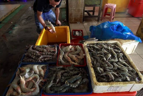 Produksi Udang Nasional Melejit, Menteri Kelautan Targetkan Capai 2 Juta Ton di 2024