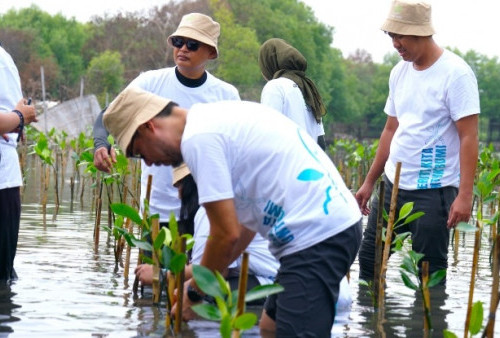 Acer Indonesia Lakukan Penanaman Ribuan Mangrove, Lanjutkan Komitmen Masa Depan