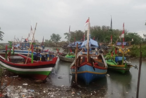 Tangkapan Ikan Nelayan Pandeglang Meningkat Tajam 100 Persen, Sumbangkan Pendapatan Ekonomi Pesisir