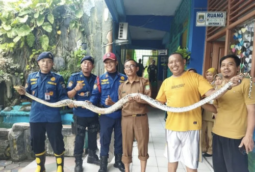 BPBD Kota Tangerang Imbau Warga Jaga Kebersihan Rumah Agar Tak Muncul Ular di Musim Ujan