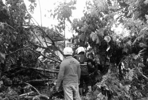 BMKG Sampaikan Peringatan Angin Kencang dan Gelombang Tinggi di Banten